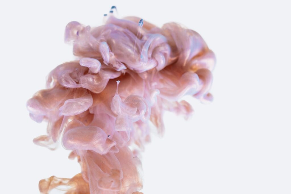 Photo Gut-brain axis