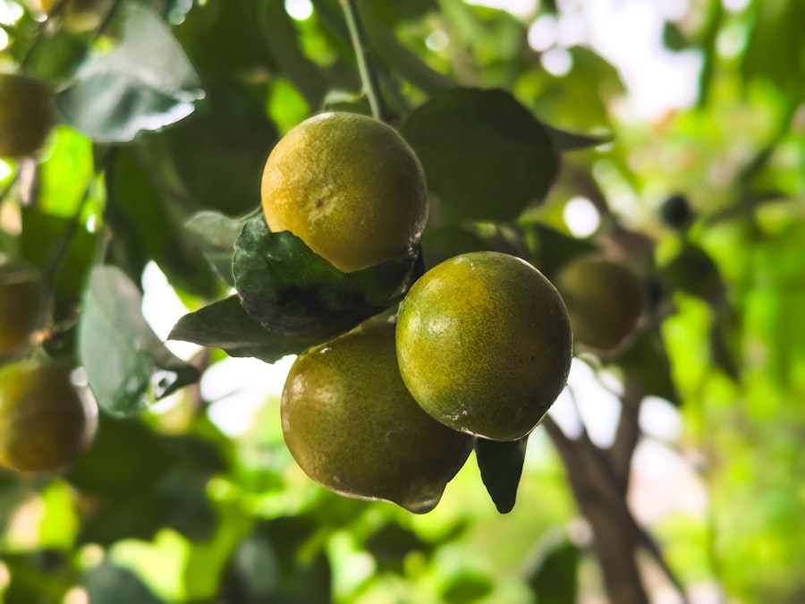 Naturalne sposoby na stres oksydacyjny