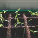 Photo Economic growth