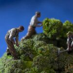 Photo Food scraps